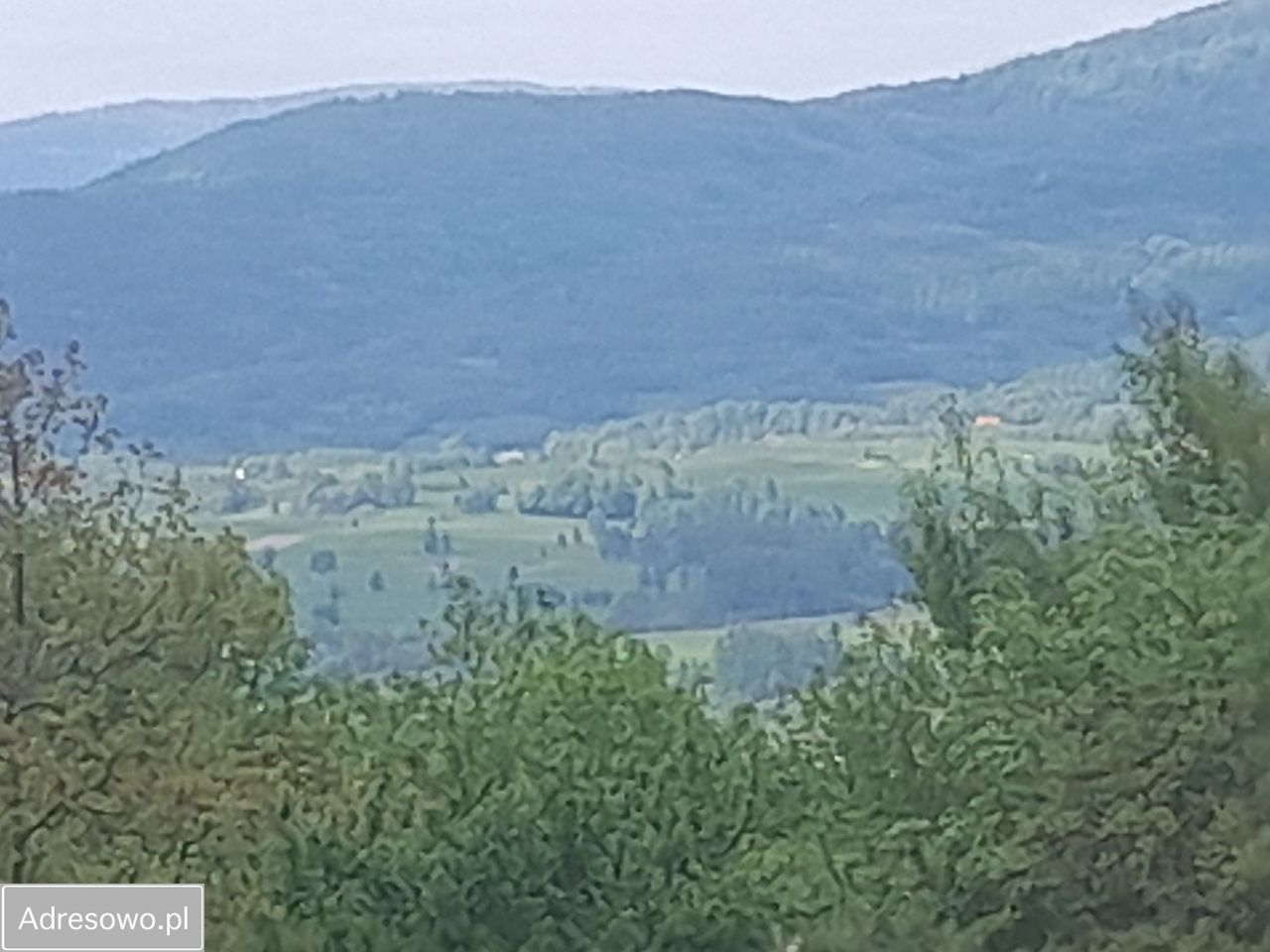 Działka rekreacyjna Rychwałd, ul. Spacerowa. Zdjęcie 5