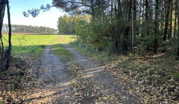 Działka inwestycyjna Grzybowo