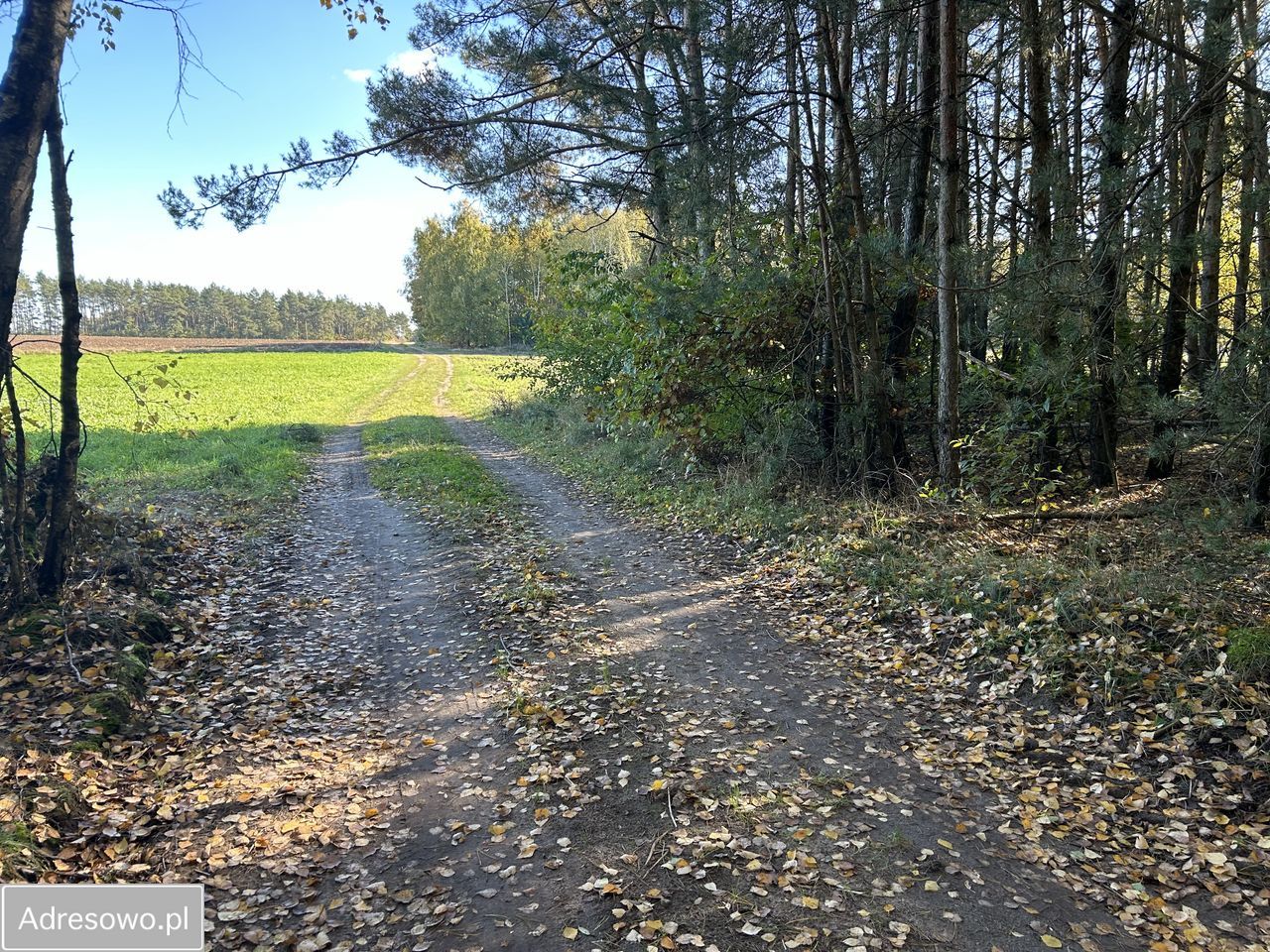 Działka inwestycyjna Grzybowo