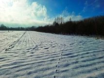 Działka rolno-budowlana Cło. Zdjęcie 2