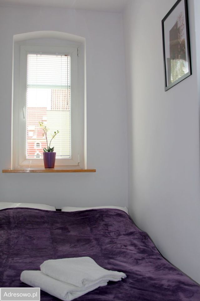 Mieszkanie 2-pokojowe Toruń Stare Miasto, ul. Mikołaja Kopernika. Zdjęcie 8