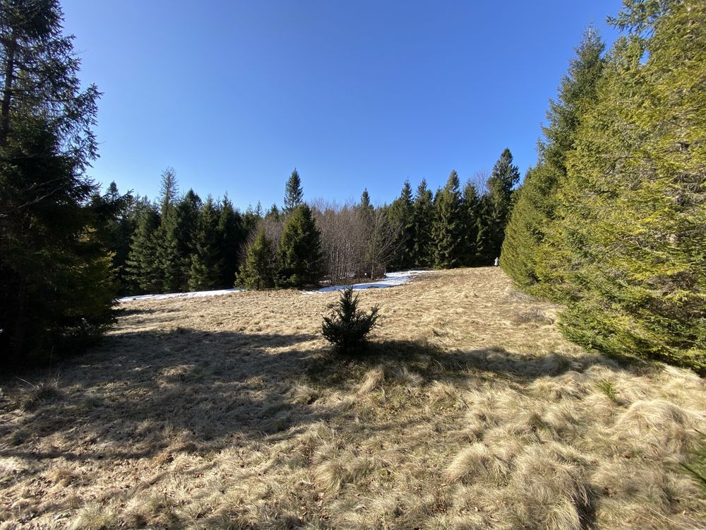 Działka rekreacyjna Bystra. Zdjęcie 2