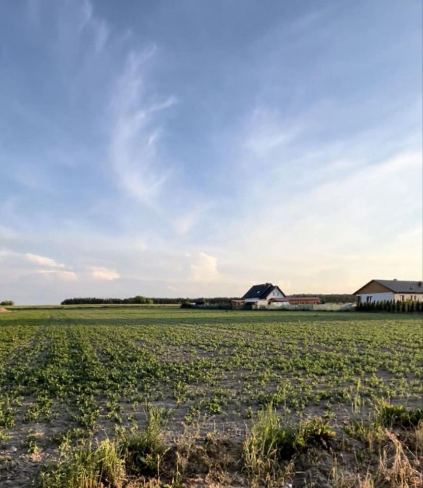 Działka budowlana Ożarów, ul. Żytnia. Zdjęcie 1