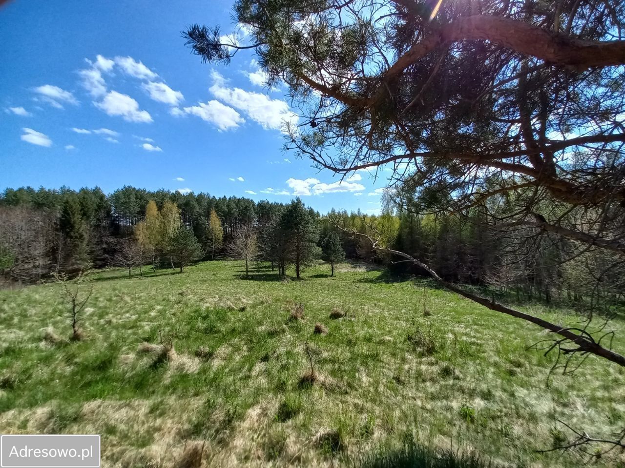 Działka rolna Niebrzydowo Wielkie. Zdjęcie 7