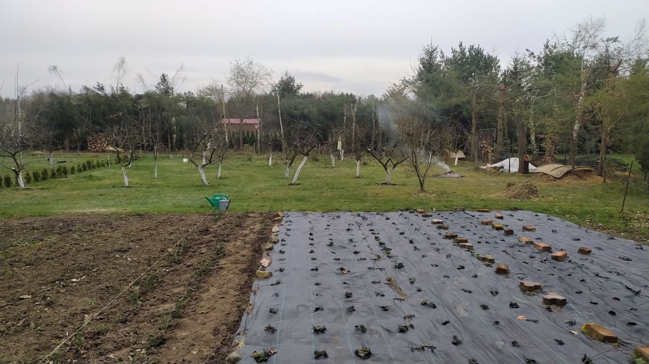 Działka siedliskowa Ząbrowo, ul. Polna. Zdjęcie 2