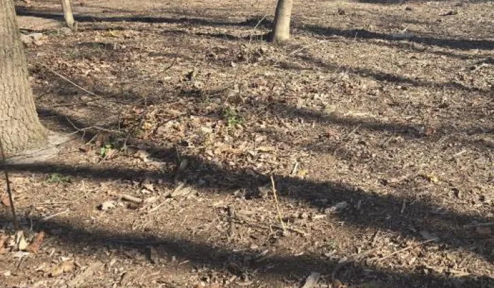 Działka budowlana Wołomin Mironowe Górki