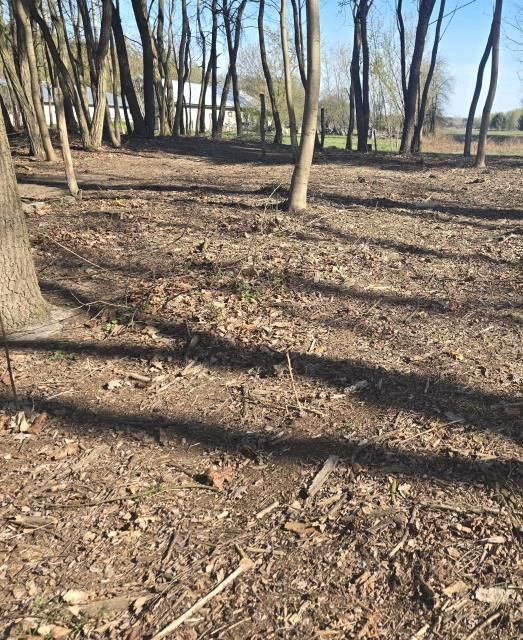 Działka budowlana Wołomin Mironowe Górki. Zdjęcie 1