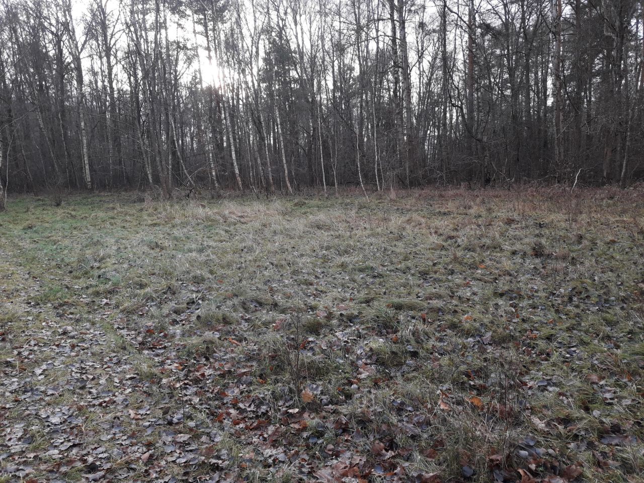 Działka inna Stare Załucze. Zdjęcie 11