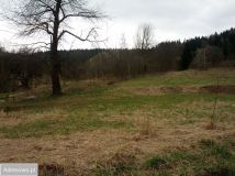 Działka rolna Bartnica. Zdjęcie 1