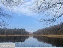 Nieruchomość komercyjna Dorotowo. Zdjęcie 2