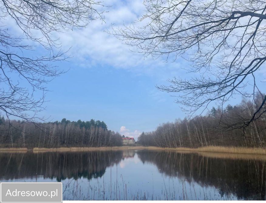 Nieruchomość komercyjna Dorotowo. Zdjęcie 3