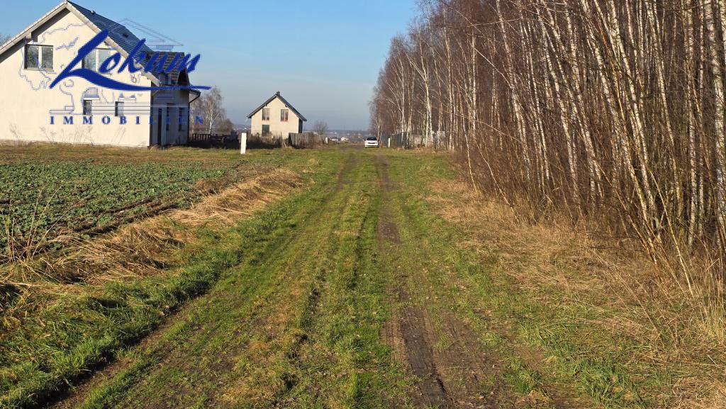 Działka inwestycyjna Lipno, ul. Borówkowa. Zdjęcie 5