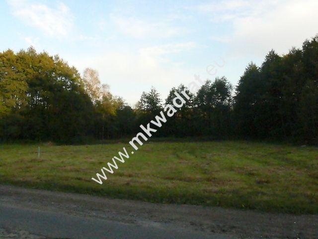 Działka budowlana Słubica B. Zdjęcie 2