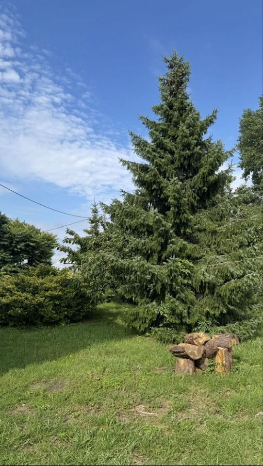 gospodarstwo Zajeziorze. Zdjęcie 8