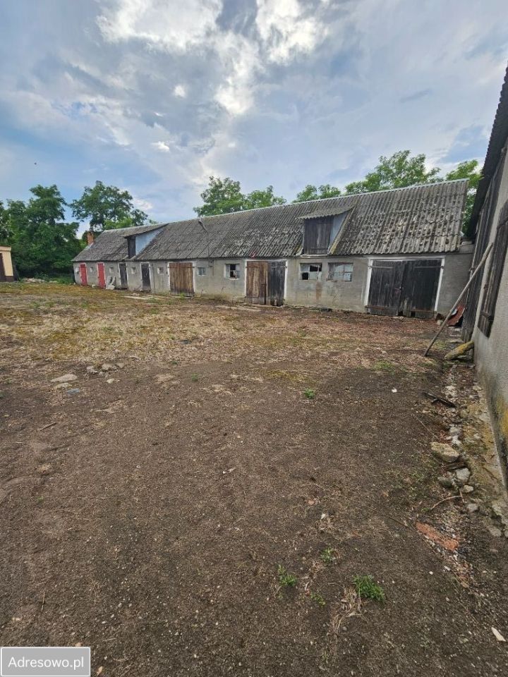 gospodarstwo, 3 pokoje Czeszewo. Zdjęcie 11