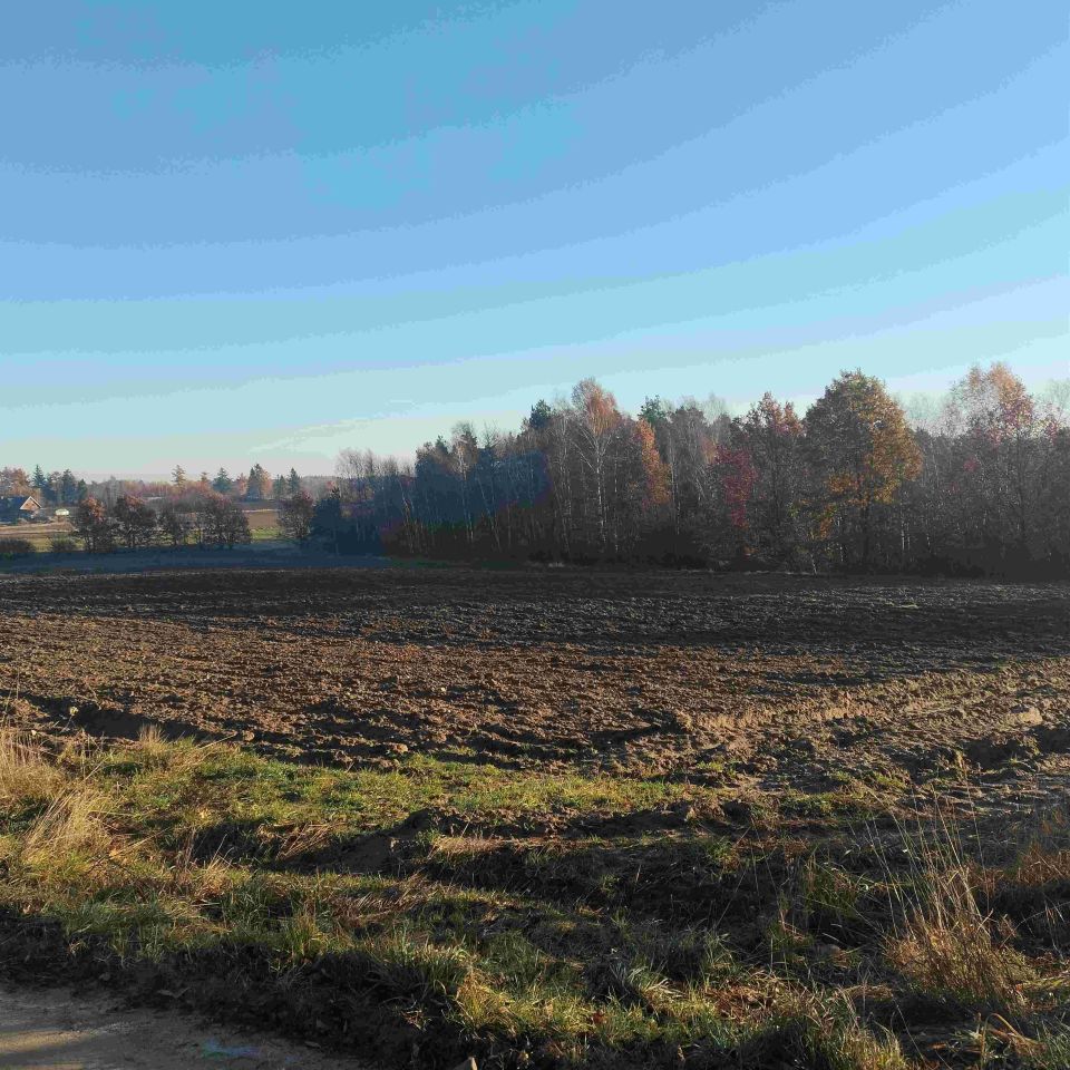 Działka budowlana Jeleńska Huta, ul. Kamieńska. Zdjęcie 2