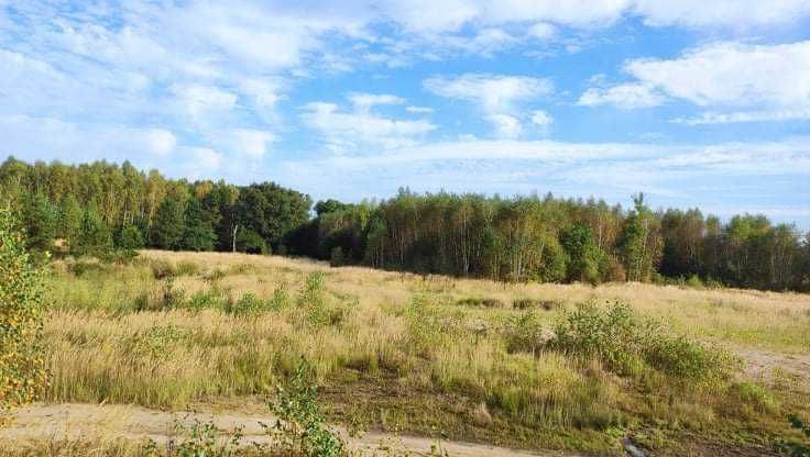 Działka inwestycyjna Sieraków. Zdjęcie 1