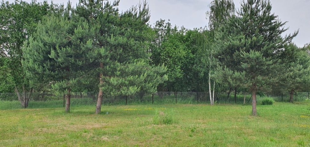 Działka budowlana Wincentów. Zdjęcie 5