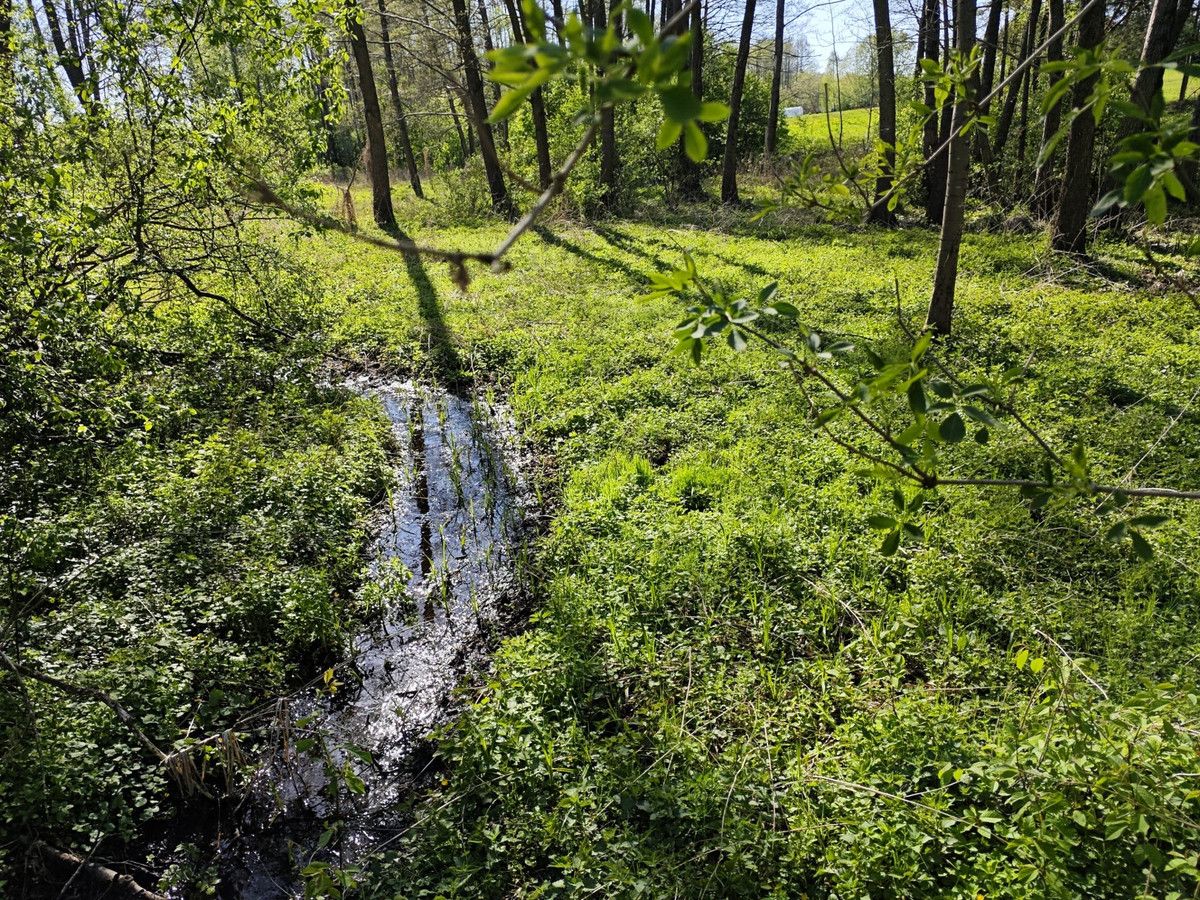 Działka rolno-budowlana Stare Zambski. Zdjęcie 15