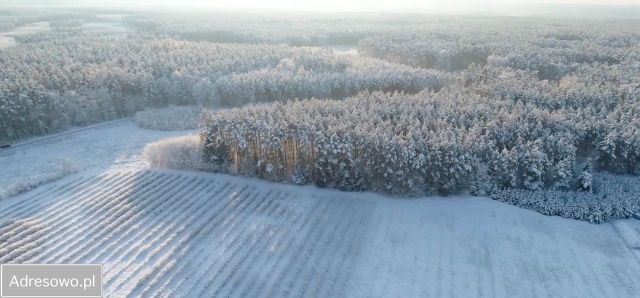 Działka budowlana Manowo, ul. Lawendowa. Zdjęcie 8