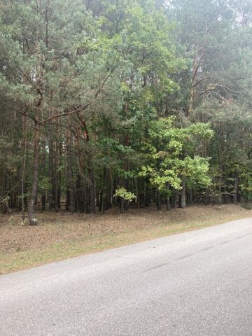 Działka rolna Strugi Krzywickie. Zdjęcie 1