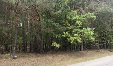 Działka rolna Strugi Krzywickie