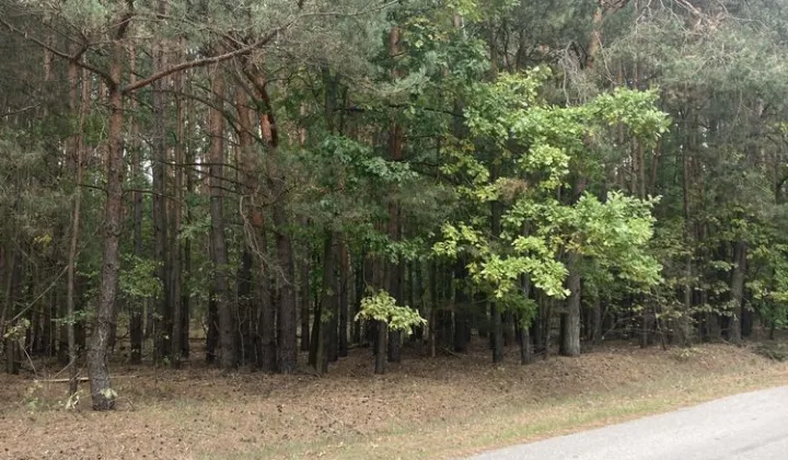 Działka rolna Strugi Krzywickie