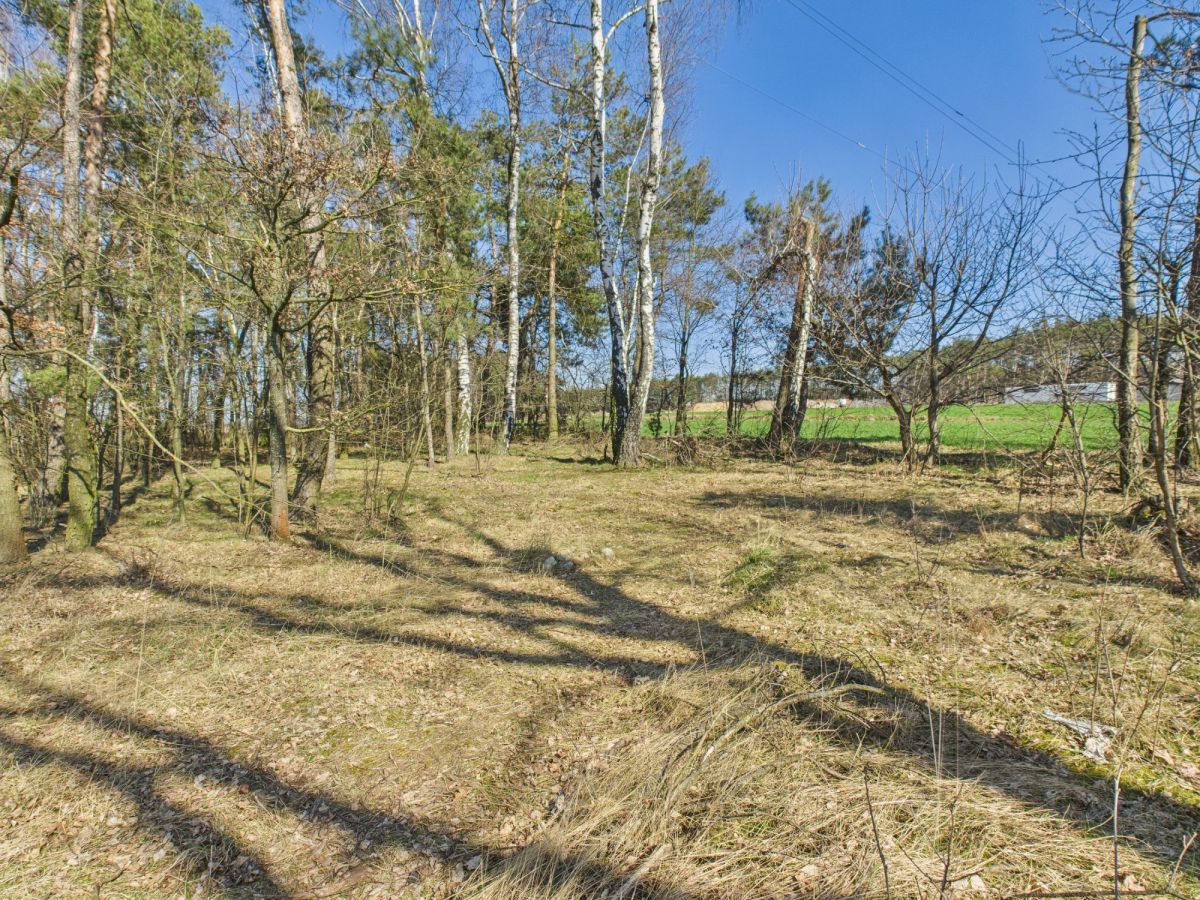 dom wolnostojący, 4 pokoje Kalinko. Zdjęcie 23