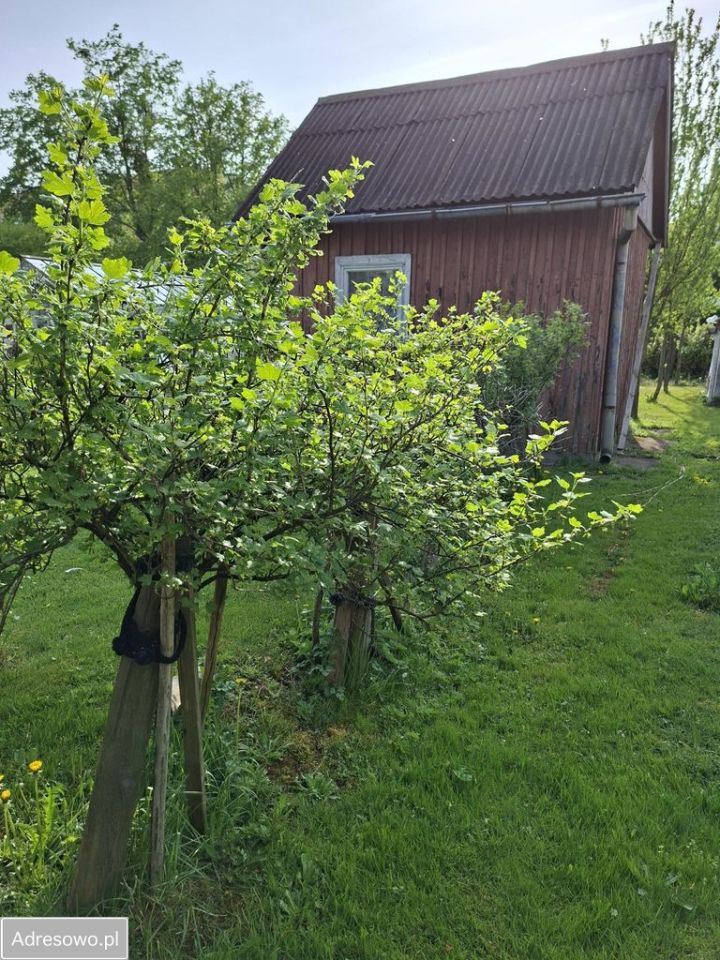 Działka rod Białystok Piasta, ul. Piasta. Zdjęcie 6