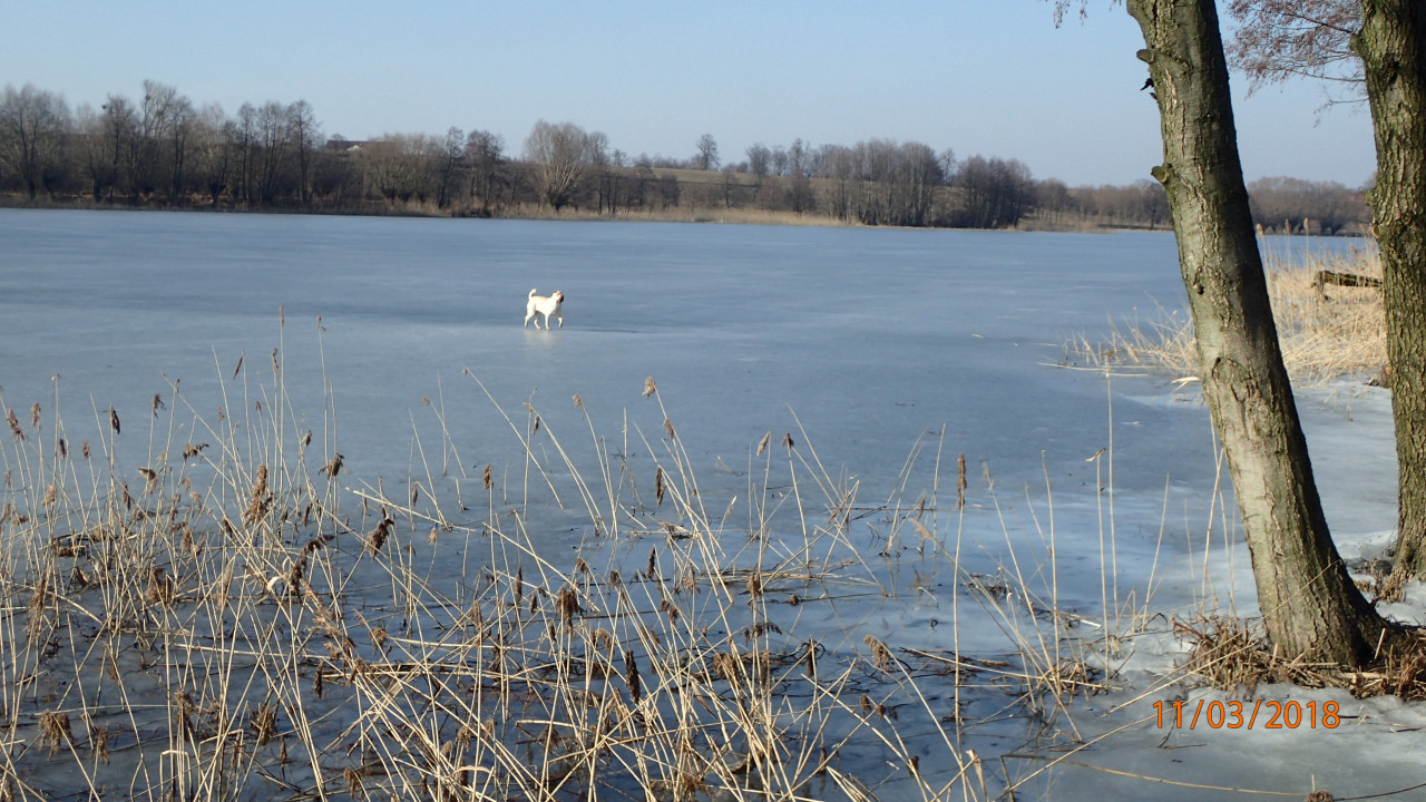 Działka budowlana Jarczechowo. Zdjęcie 7