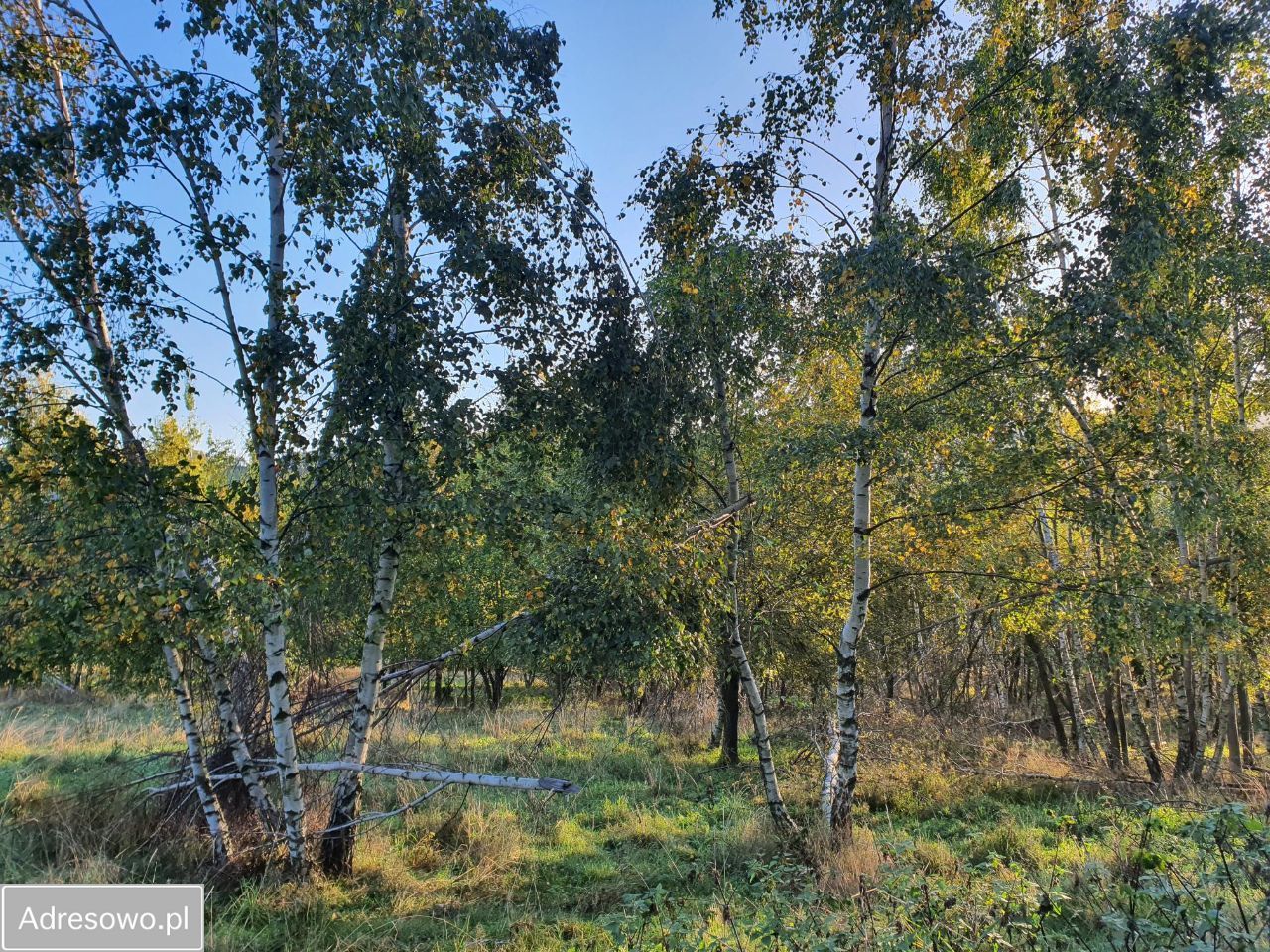 Działka budowlana Walim. Zdjęcie 3