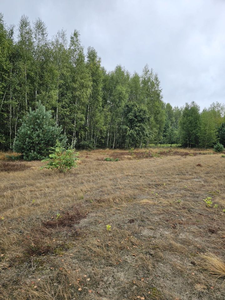 Działka budowlana Cmolas Dąbrówka. Zdjęcie 5