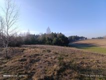 Działka rolno-budowlana Jarczewo. Zdjęcie 4