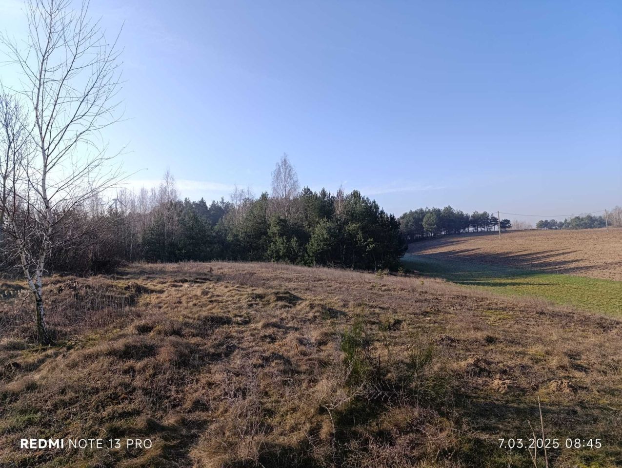 Działka rolno-budowlana Jarczewo. Zdjęcie 5