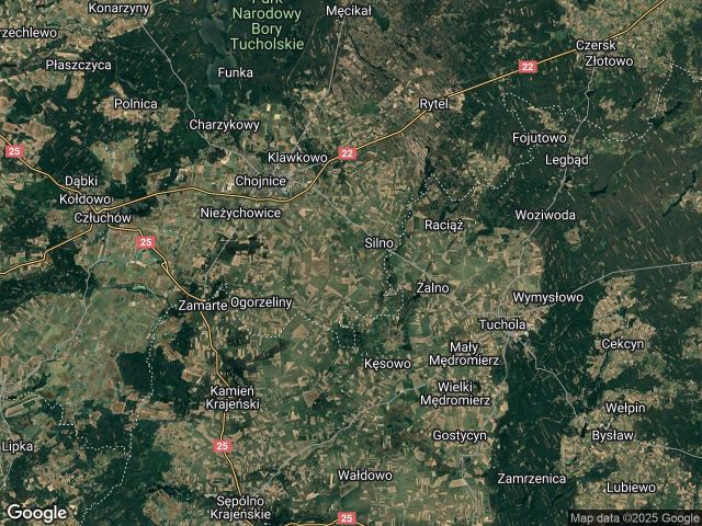 Działka rolna Ostrowite. Zdjęcie 1