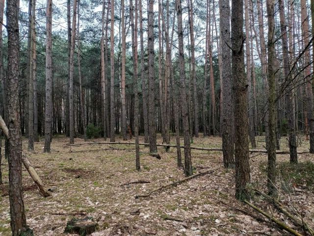 Działka rekreacyjna Jamborek. Zdjęcie 1