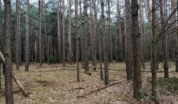 Działka rekreacyjna Jamborek
