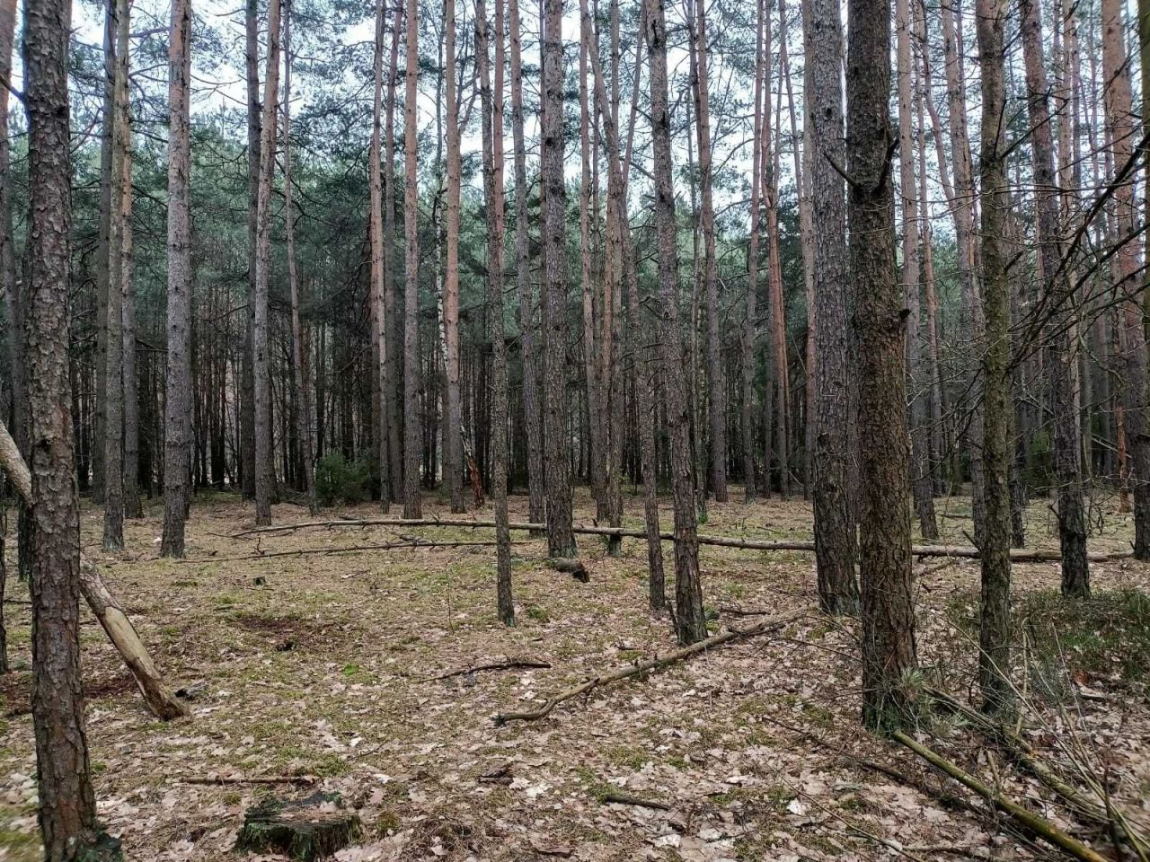 Działka rekreacyjna Jamborek