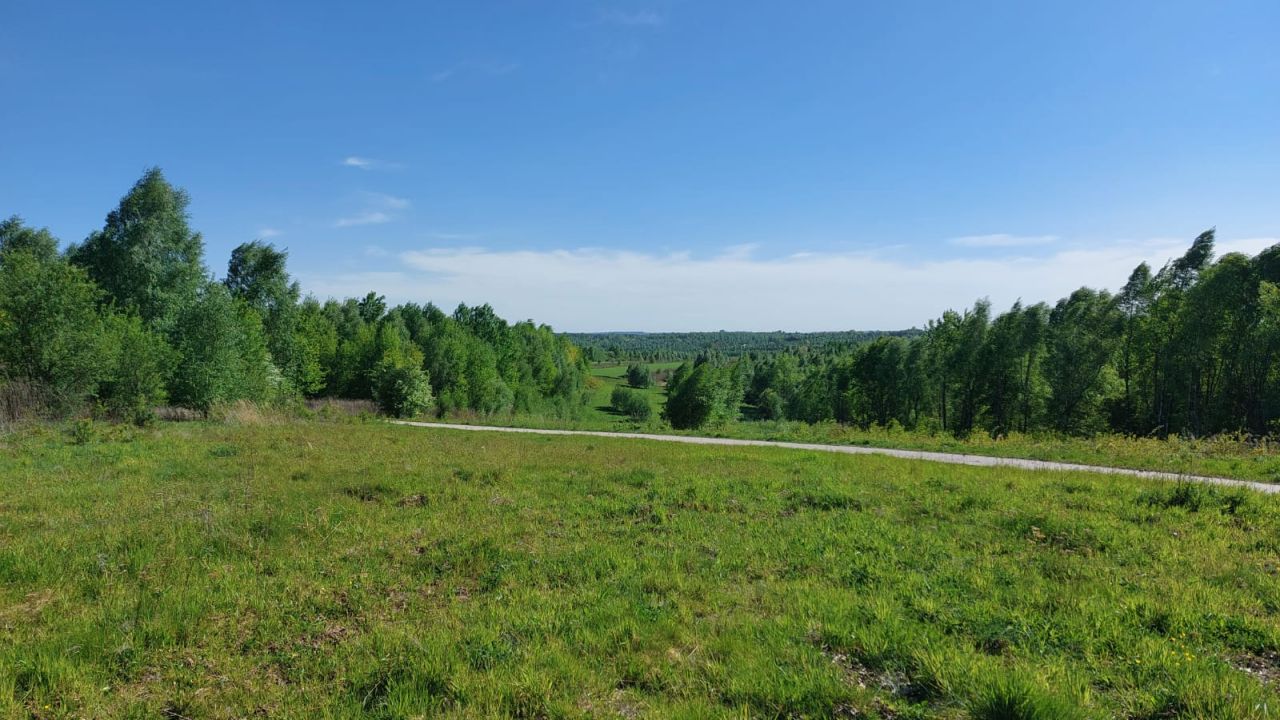 Działka siedliskowa Brzeziny. Zdjęcie 5