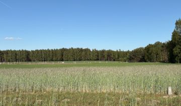 Działka budowlana Kalina