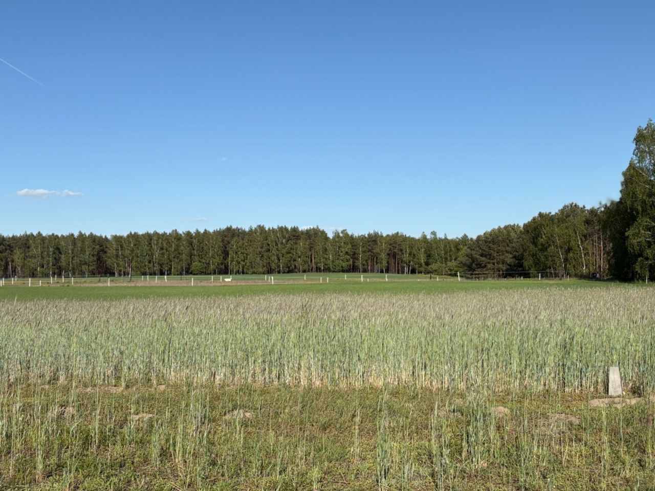 Działka budowlana Kalina
