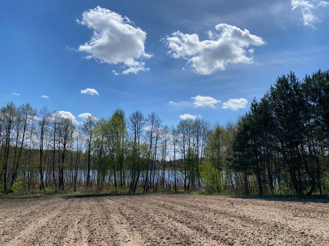 Działka budowlana Błędowo. Zdjęcie 2