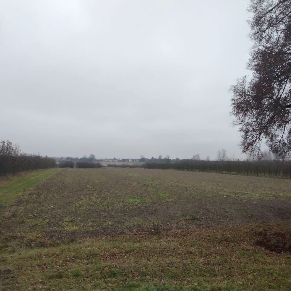 Działka rolno-budowlana Białki Dolne. Zdjęcie 5