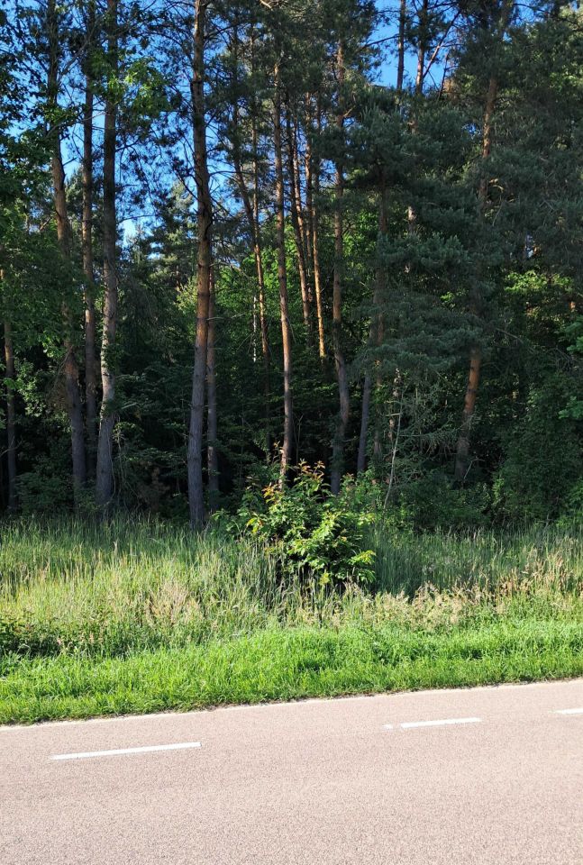 Działka rolna Wieprzów Tarnawacki Skrzypny Ostrów. Zdjęcie 3