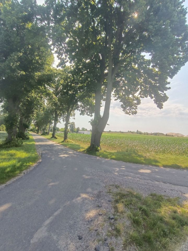 Działka budowlana Ławki. Zdjęcie 4