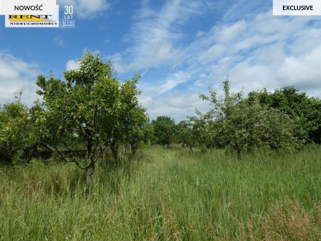 bliźniak, 3 pokoje Tarnowo. Zdjęcie 11