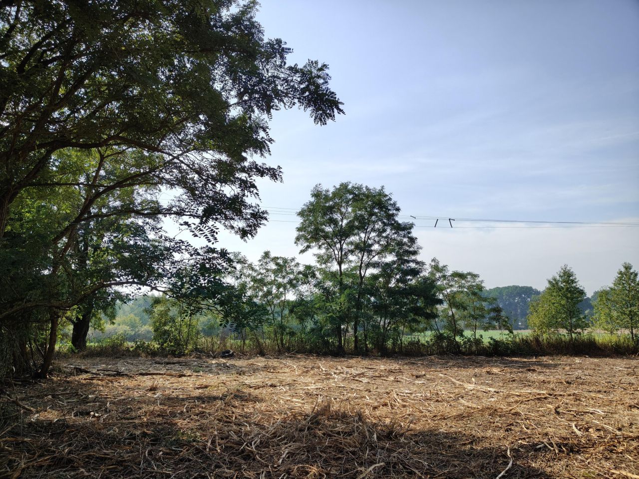 Działka budowlana Jabłonna Pierwsza. Zdjęcie 13