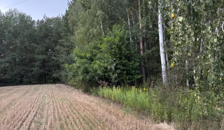 Działka inwestycyjna Adamówka