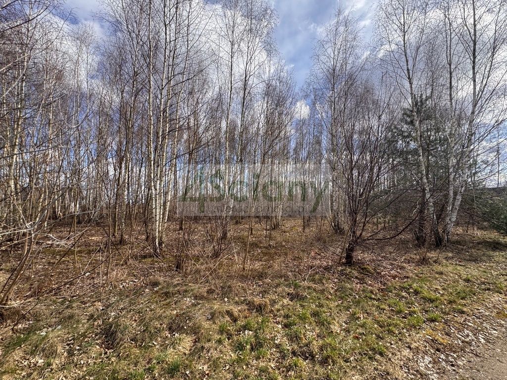 Działka budowlana Młochów. Zdjęcie 4