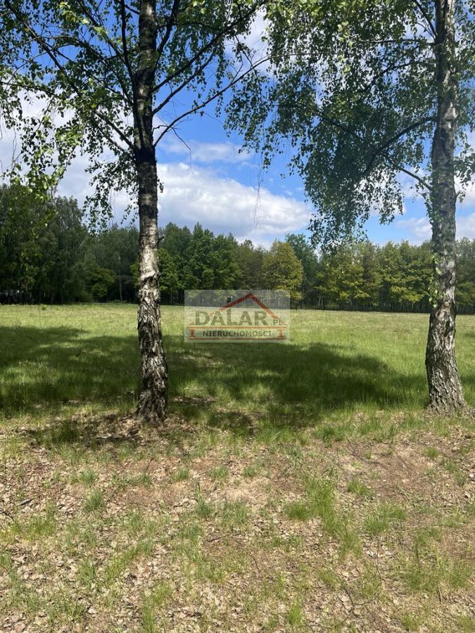 Działka budowlana Korzeniówka. Zdjęcie 11